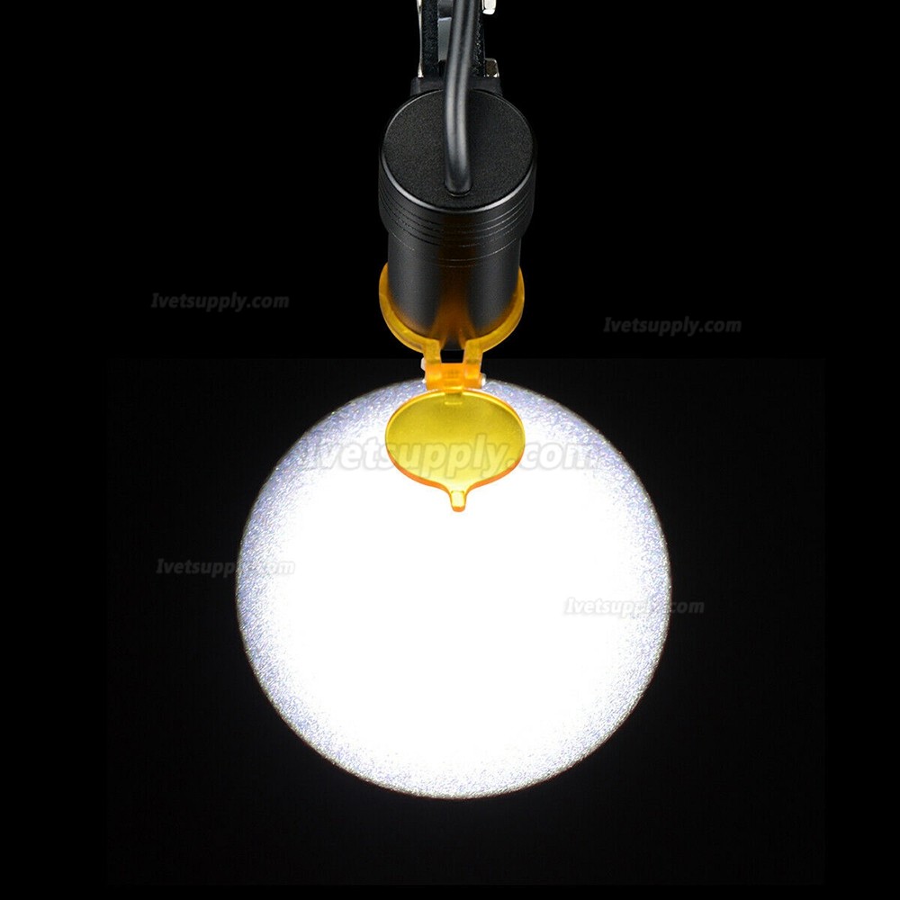 Veterinary 5W LED Head Light with Filter Headband Headlamp + Aluminum Box Veterinary 5W LED Head Light with Filter Headband Headlamp + Aluminum Box