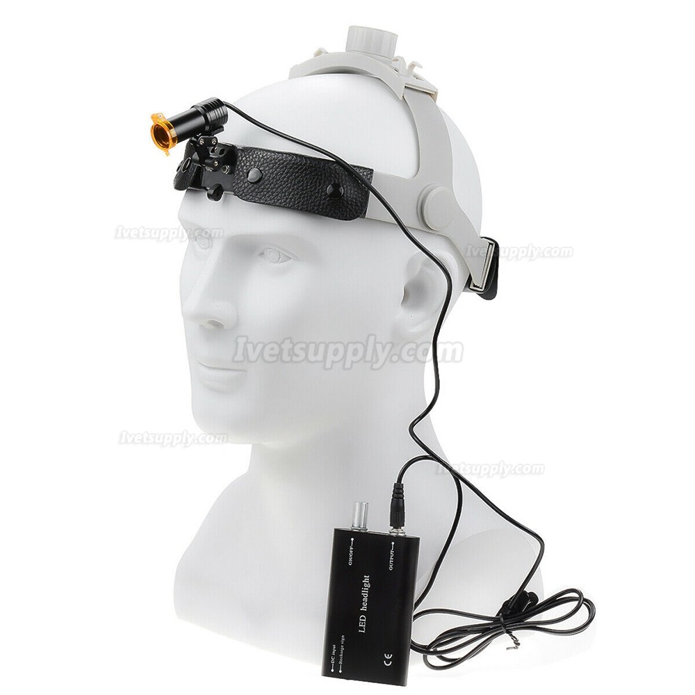 Veterinary 5W LED Head Light with Filter Headband Headlamp + Aluminum Box Veterinary 5W LED Head Light with Filter Headband Headlamp + Aluminum Box