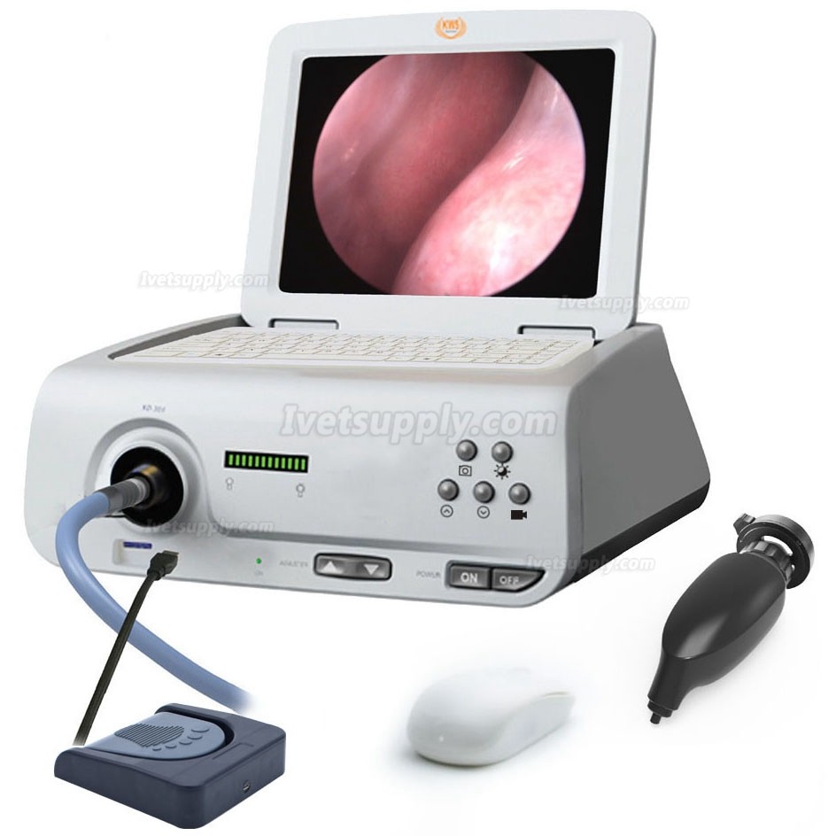 KWS SD-602K-1 80W LED portable endoscope camera full HD 1080P integrated CCD camera KWS SD-602K-1 80W LED portable endoscope camera full HD 1080P integrated CCD camera