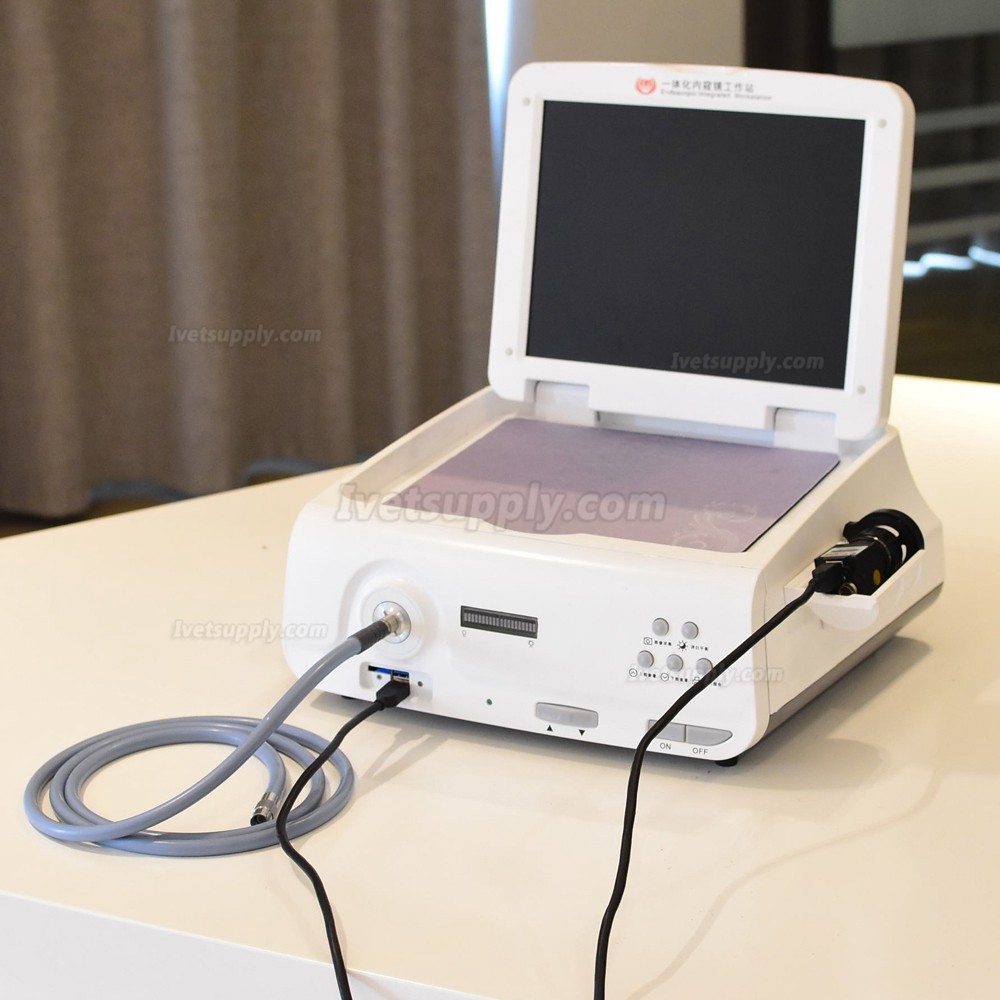 KWS SD-602K-1 80W LED portable endoscope camera full HD 1080P integrated CCD camera KWS SD-602K-1 80W LED portable endoscope camera full HD 1080P integrated CCD camera