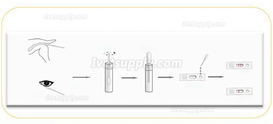 YUEXIANG Veterinary Hydrochloric Acid Urine Food Test Card Clenbuterol Triple Detection