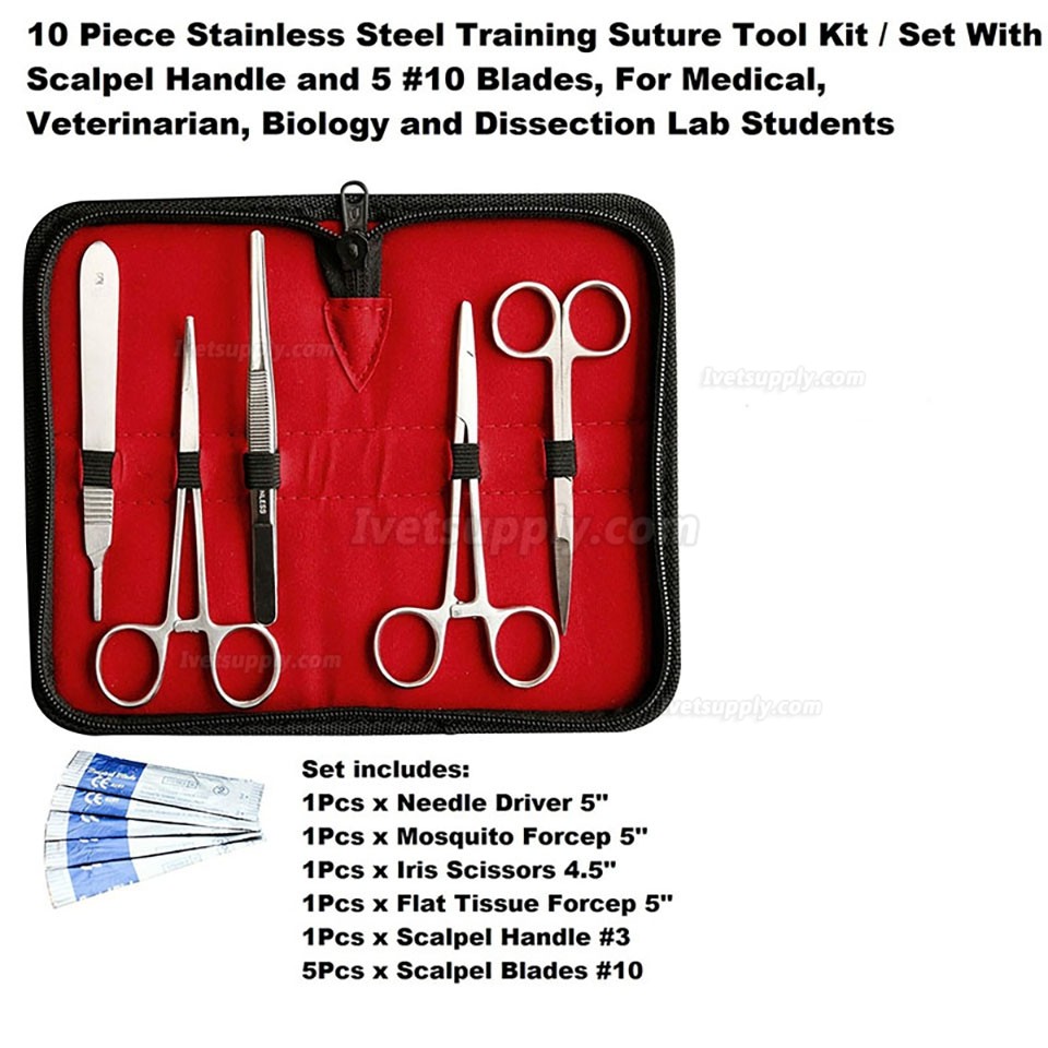 10Pcs Stainless Steel Veterinary Anatomy Tool Kit Scalpel Blades