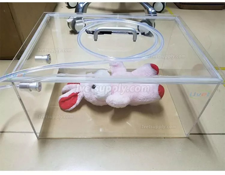 Veterinary Customized Size Pet Animal Anesthesia Induction Chamber