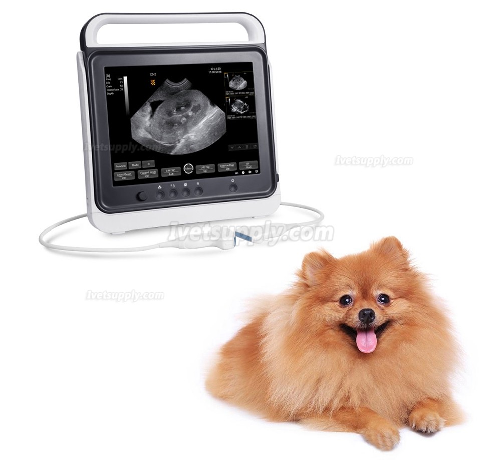 BMV MX-50A Touch Screen Portable Veterinary B/W Ultrasound Scanner