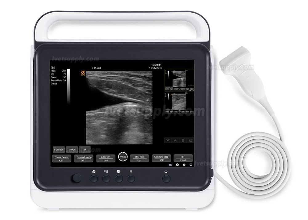 BMV MX-50A Touch Screen Portable Veterinary B/W Ultrasound Scanner