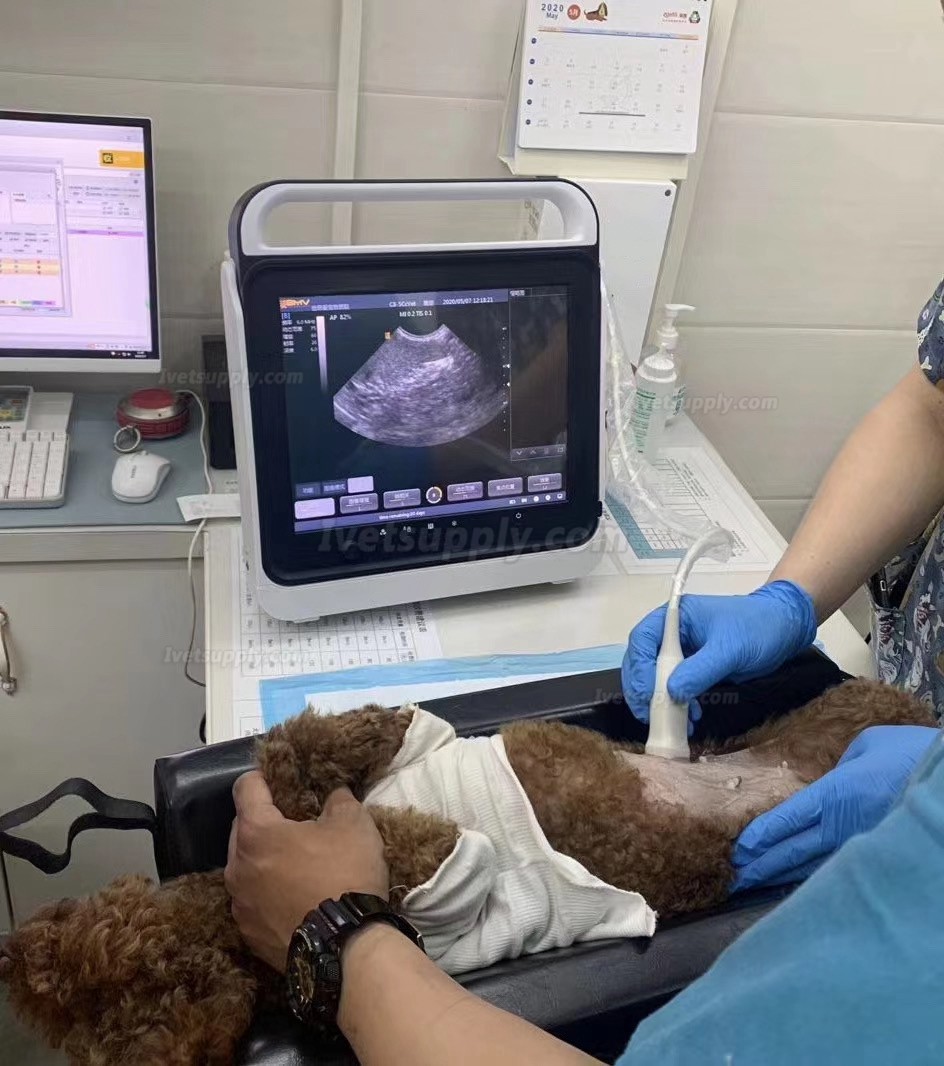 BMV MX-50A Touch Screen Portable Veterinary B/W Ultrasound Scanner