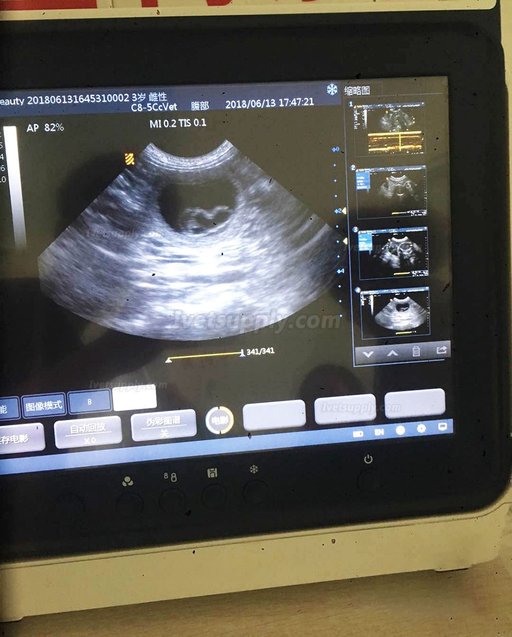 BMV MX-50A Touch Screen Portable Veterinary B/W Ultrasound Scanner