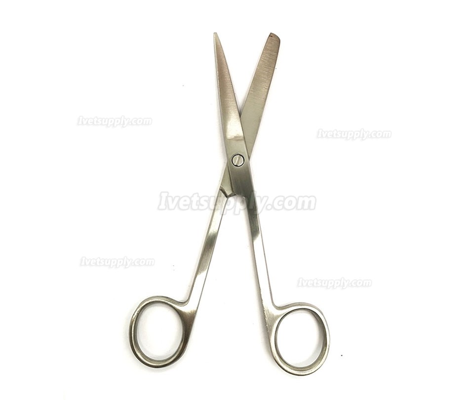 26Pcs Veterinary Anatomy Tool Set Anatomical Needle Scissors Tool