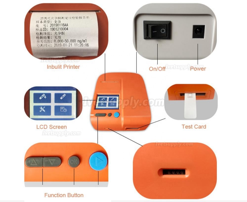 Vet Progesterone Test Machine Canine Progesterone Analyzer for Animal Hospital