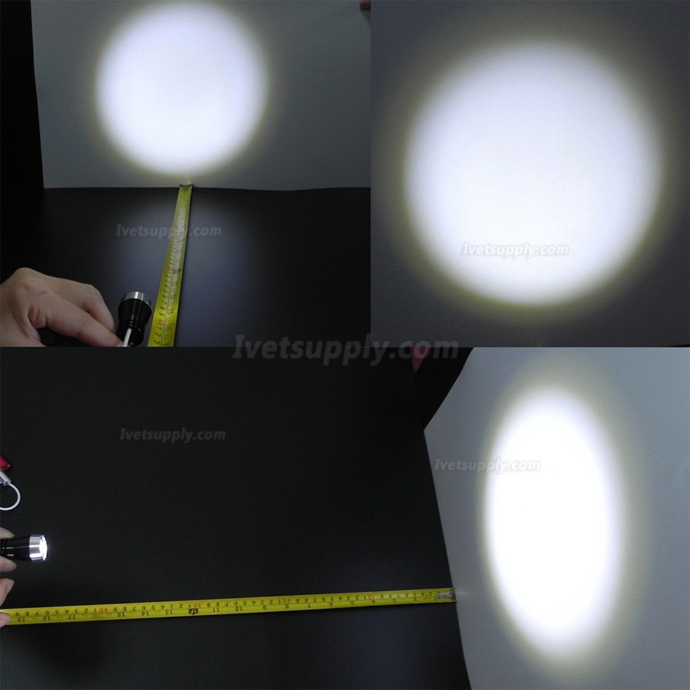 Portable Clip-on LED Head Light Lamp fit Veterinary Binocular Loupes Portable Clip-on LED Head Light Lamp fit Veterinary Binocular Loupes