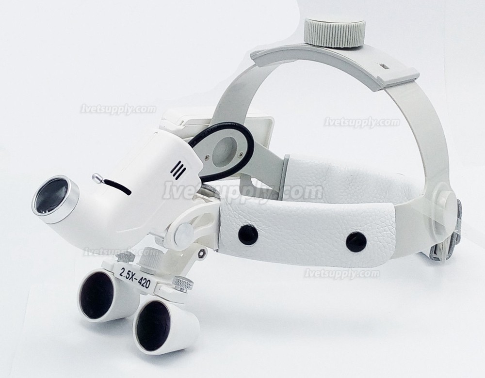 Dental Surgical Medical 2.5X420mm Headband Loupe with LED Headlight DY-105 White