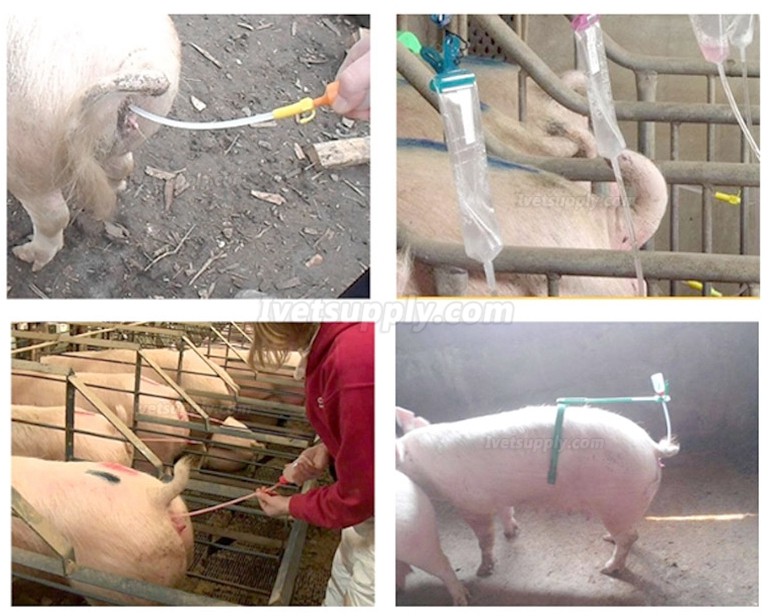 100Pcs Artificial Insemination Catheter Artificial Insemination Rod (Foam Tip) For Pig