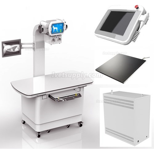 Veterinary Stationary X-ray Equipment Digital X-ray Machine 320mA