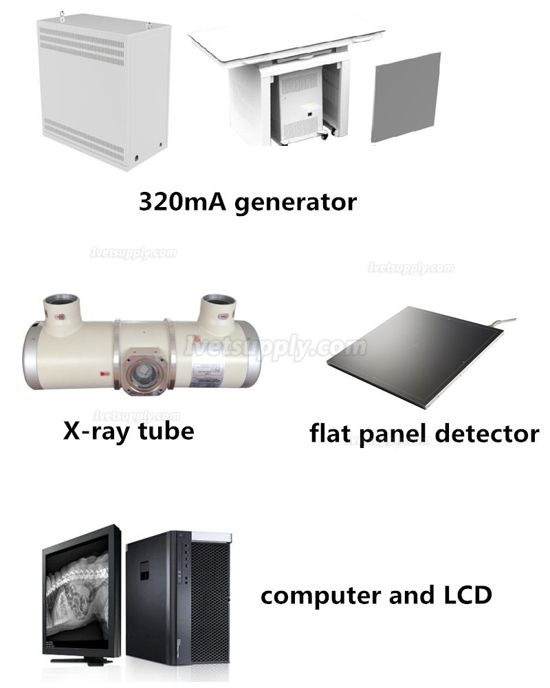 Veterinary Stationary X-ray Equipment Digital X-ray Machine 320mA