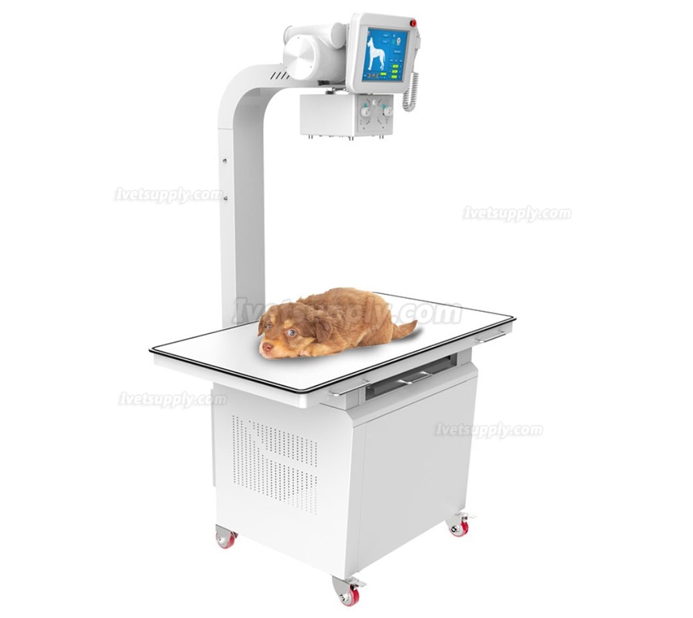 Veterinary Stationary X-ray Equipment Digital X-ray Machine 320mA