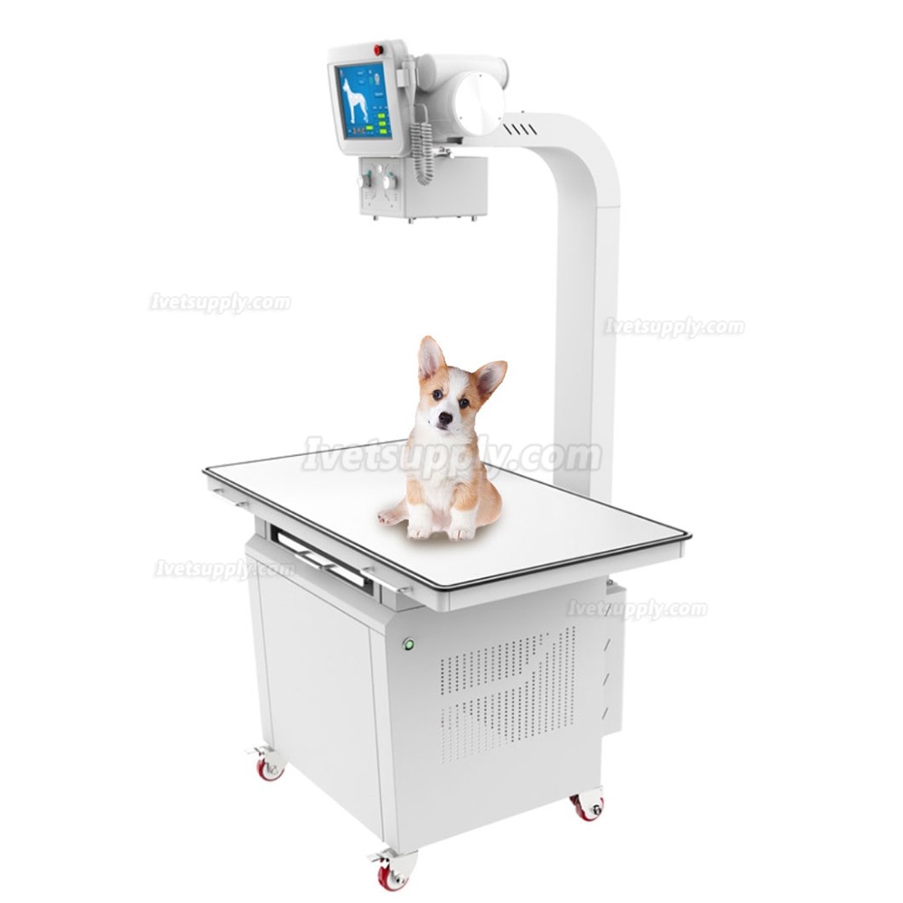 Veterinary Stationary X-ray Equipment Digital X-ray Machine 320mA