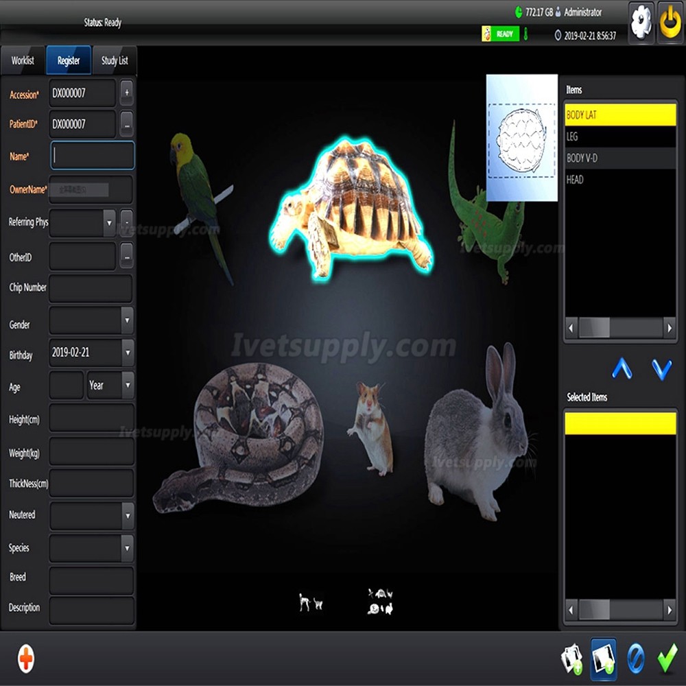 Veterinary Stationary X-ray Equipment Digital X-ray Machine 320mA