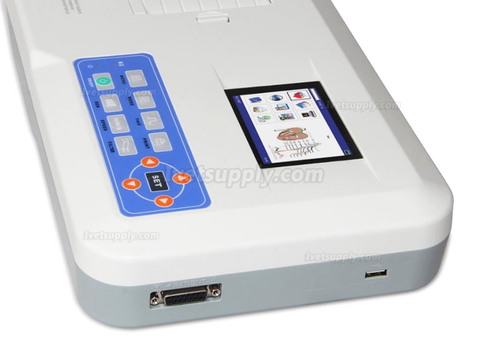 Veterinary ECG300G-VET Digital 3-Channel 12 Leads Electrocardiograph ECG /EKG