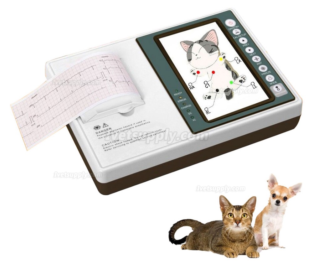 Veterinary ECG300V 3-channel 12 lead Electrocardiograph ECG /EKG Machine