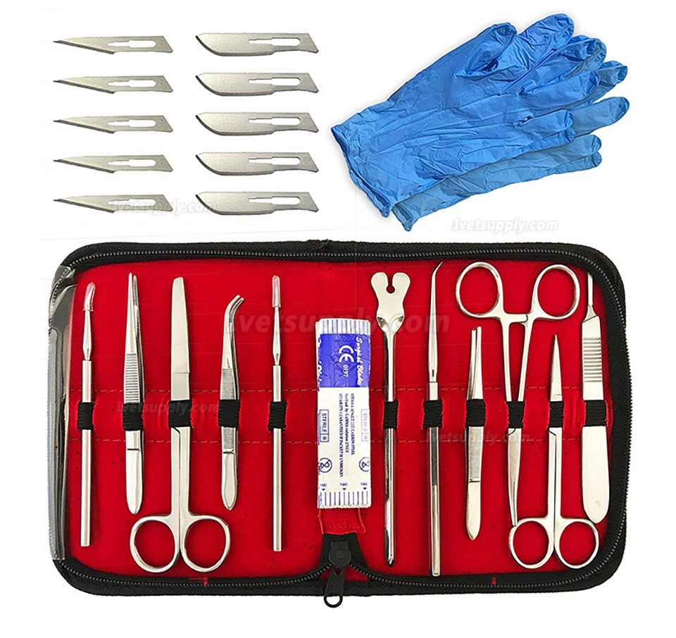 22Pcs Vet Scalpel Tool Stainless Steel Dissection Scissors Anatomical Tweezers Needle Medical Experiment tool