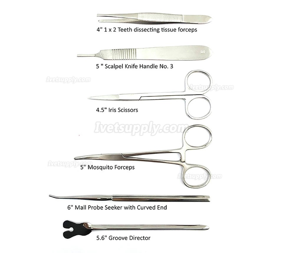 22Pcs Vet Scalpel Tool Stainless Steel Dissection Scissors Anatomical Tweezers Needle Medical Experiment tool