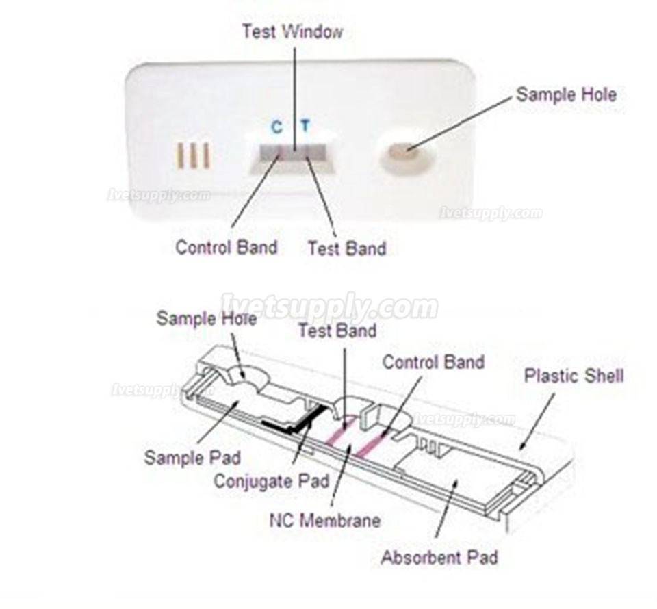 Quicking Veterinary Feline FCV Ag Rapid Test Calicivirus Ag Test