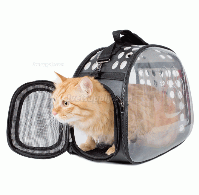 Transparent Portable Foldable Bag Soft Dog Cat Bag Pet Carrier Travel Box