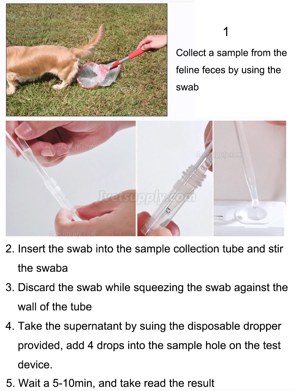 ABGENOME Veterinary Canine Giardia Ag Test for Dog Giardia Detection
