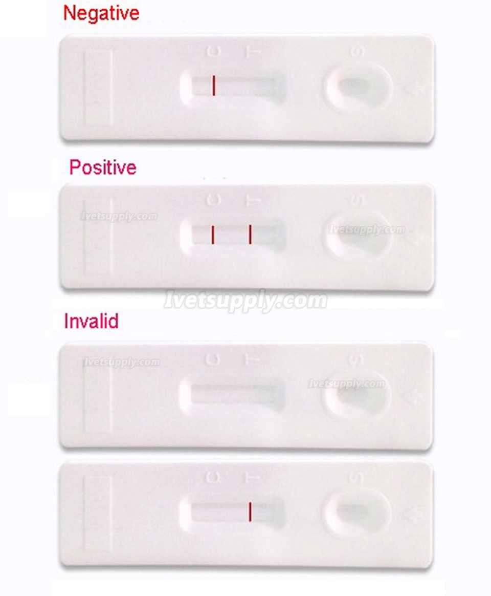 ABGENOME Veterinary Canine Giardia Ag Test for Dog Giardia Detection