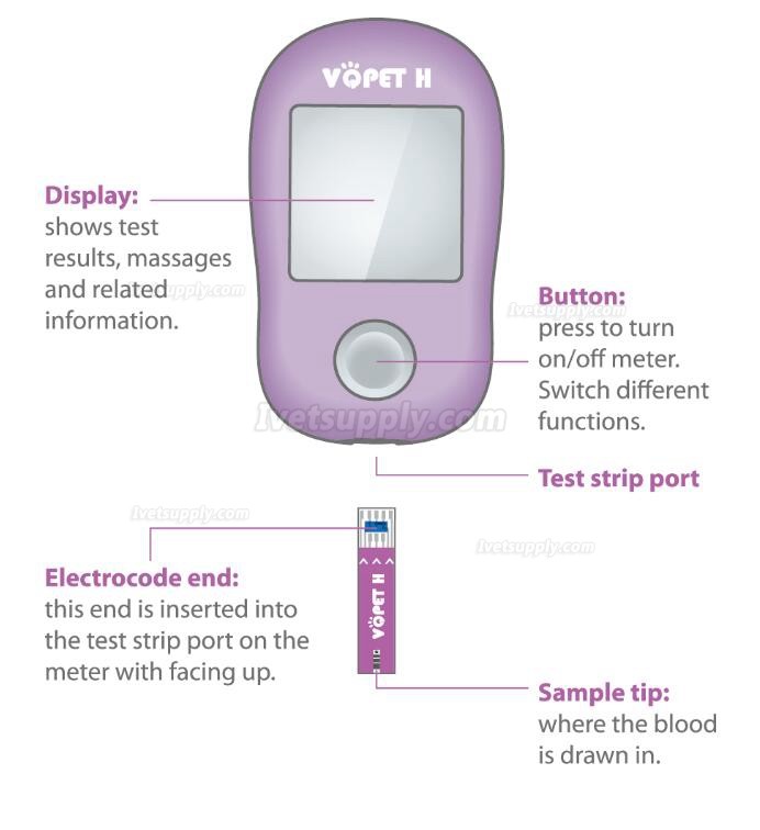 Veterinary Blood Glucose Monitoring Meter Kit Accurate Result For Cats and Dogs
