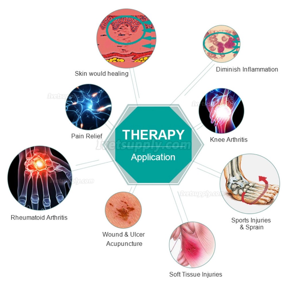 Veterinary Laser Class 3B Therapy Equipment For Pain Relief