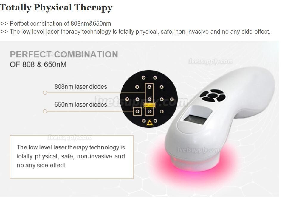 Veterinary Laser Class 3B Therapy Equipment For Pain Relief