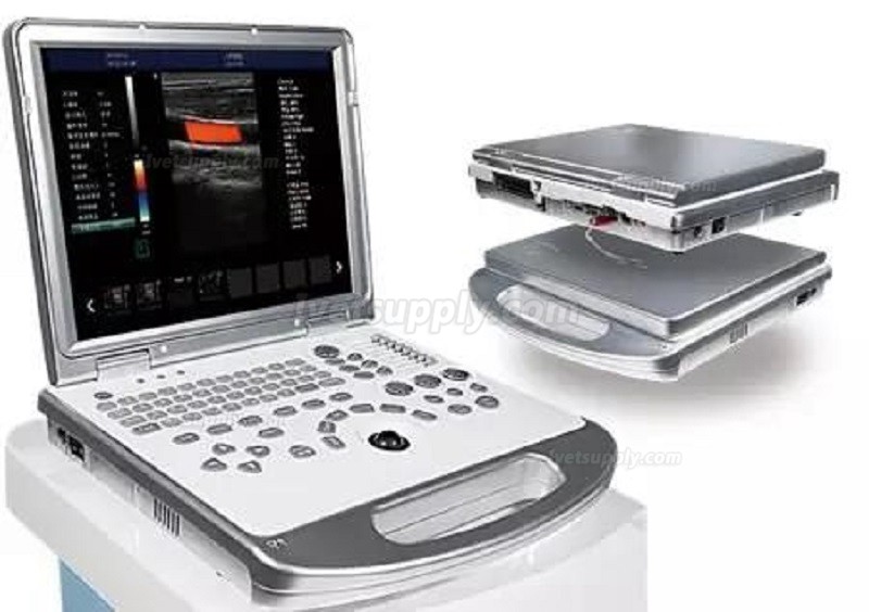 HUC-250 Portable 2D/3D Color Doppler Ultrasonic Diagnostic System Animal Laptop Ultrasound Scanner