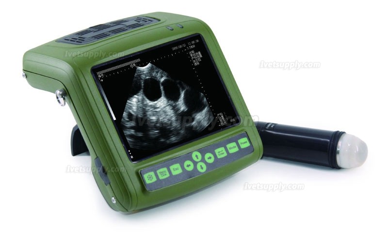 Full-digital Portable Animal Ultrasound Scanner Veterinary Ultrasound Machine HV-1 Plus
