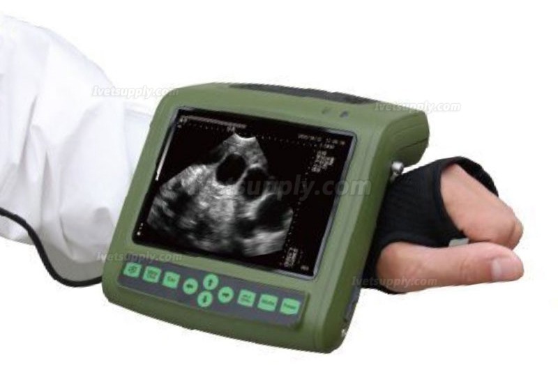 Full-digital Portable Animal Ultrasound Scanner Veterinary Ultrasound Machine HV-1 Plus