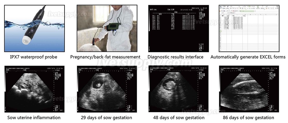 Full-digital Portable Animal Ultrasound Scanner Veterinary Ultrasound Machine HV-1 Plus