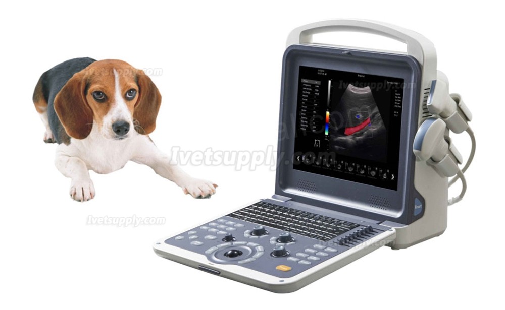 BMV BCU30 Veterinary Full Digital Color Doppler Ultrasound Diagnostic System Animal Ultrasound Scanner Machine