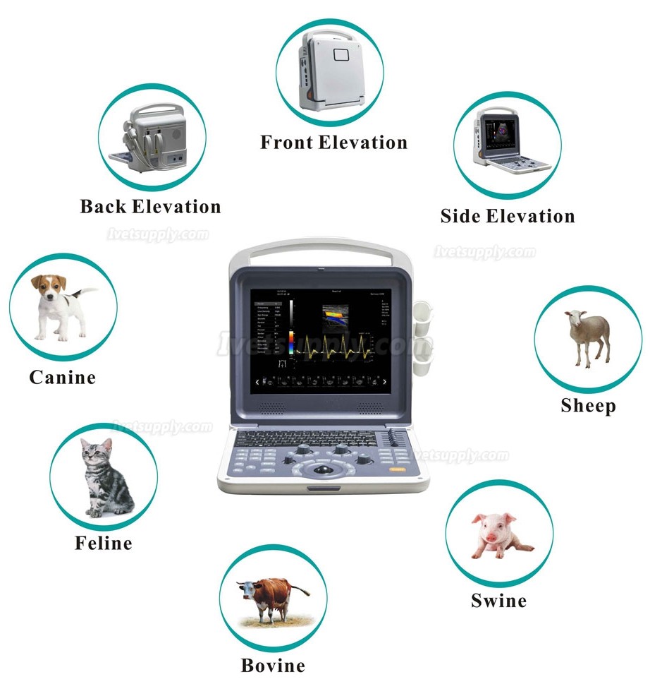 BMV BCU30 Veterinary Full Digital Color Doppler Ultrasound Diagnostic System Animal Ultrasound Scanner Machine