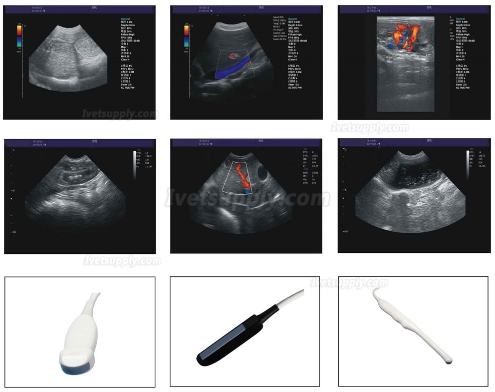 BMV BCU30 Veterinary Full Digital Color Doppler Ultrasound Diagnostic System Animal Ultrasound Scanner Machine