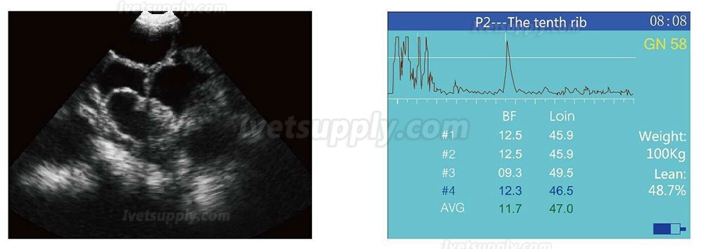 Full-digital Portable Veterinary Ultrasound Scanner HV-3 Plus