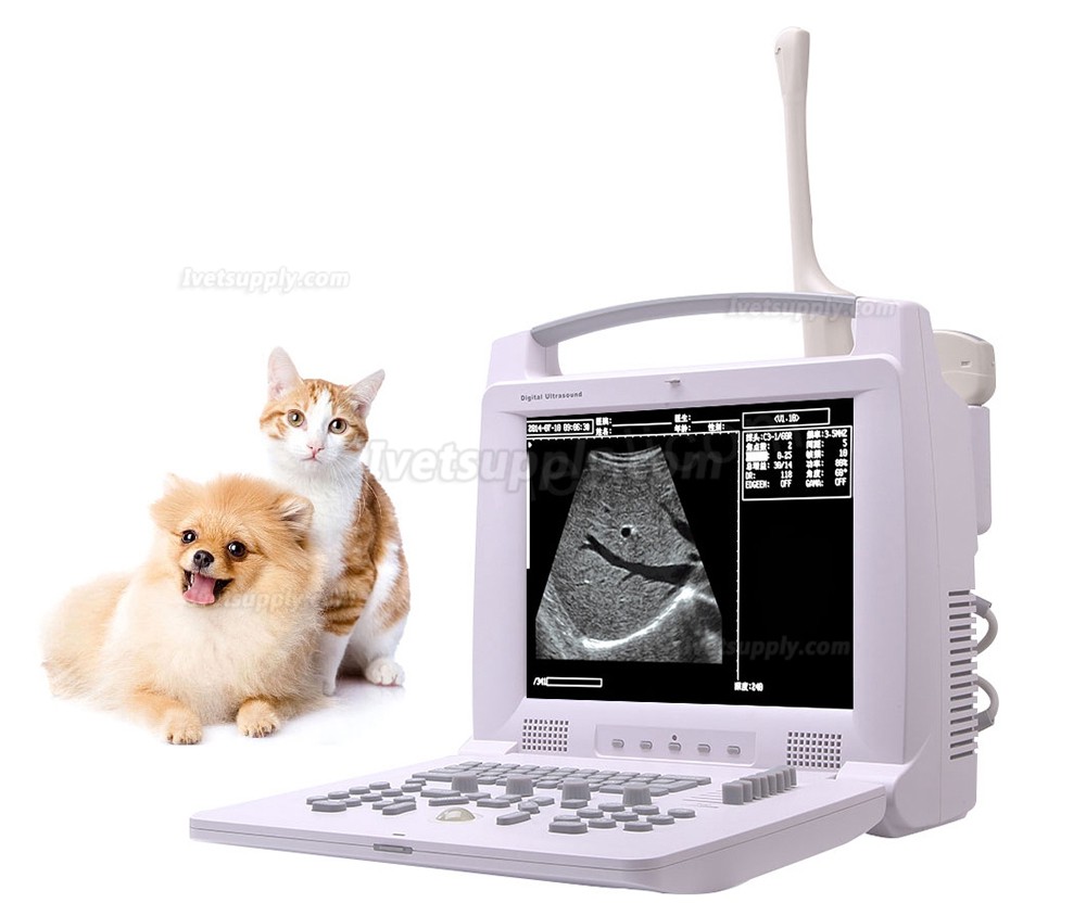 Veterinary B/W Ultrasound scanner Vet Ultrasound Machine HV-3018