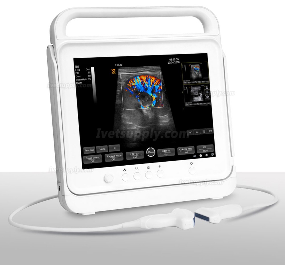 BMV HV-50C Touch Color Doppler System Veterinary Portable Ultrasound Scanner Machine For Animal