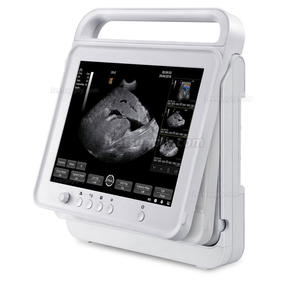 BMV HV-50C Touch Color Doppler System Veterinary Portable Ultrasound Scanner Machine For Animal BMV HV-50C Touch Color Doppler System Veterinary Portable Ultrasound Scanner Machine For Animal
