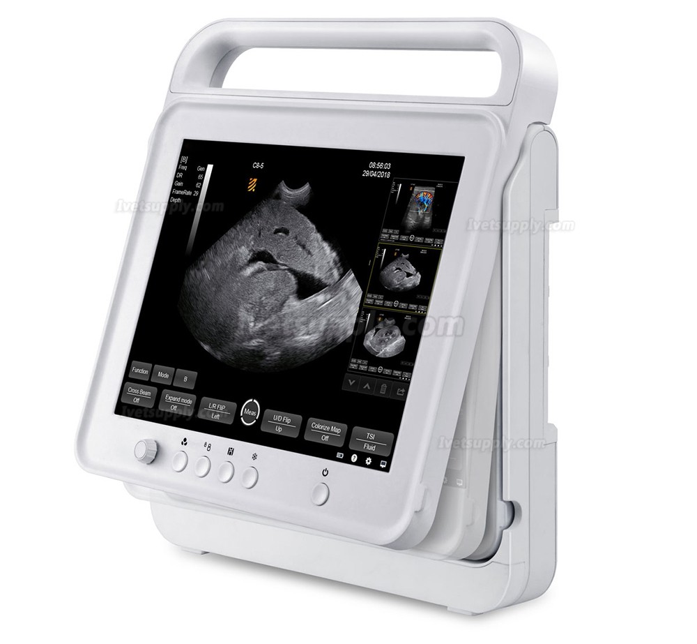 BMV HV-50C Touch Color Doppler System Veterinary Portable Ultrasound Scanner Machine For Animal