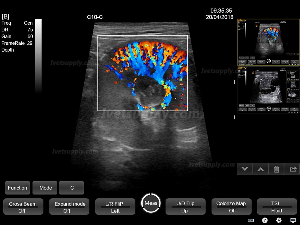 BMV HV-50C Touch Color Doppler System Veterinary Portable Ultrasound Scanner Machine For Animal