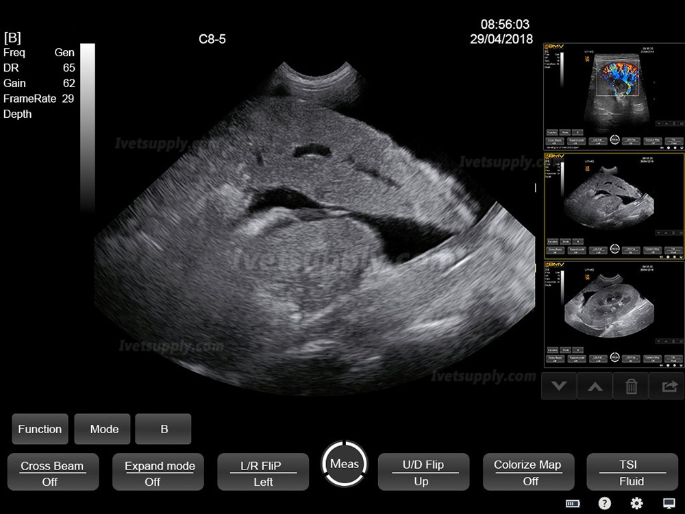 BMV HV-50C Touch Color Doppler System Veterinary Portable Ultrasound Scanner Machine For Animal BMV HV-50C Touch Color Doppler System Veterinary Portable Ultrasound Scanner Machine For Animal