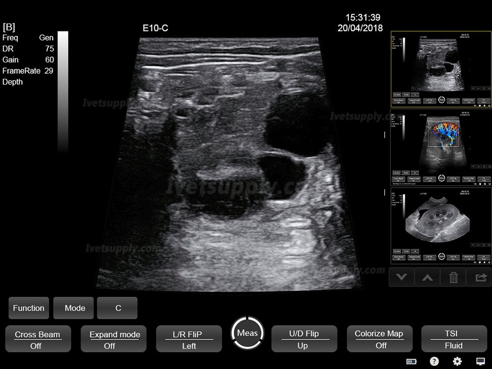 BMV HV-50C Touch Color Doppler System Veterinary Portable Ultrasound Scanner Machine For Animal BMV HV-50C Touch Color Doppler System Veterinary Portable Ultrasound Scanner Machine For Animal