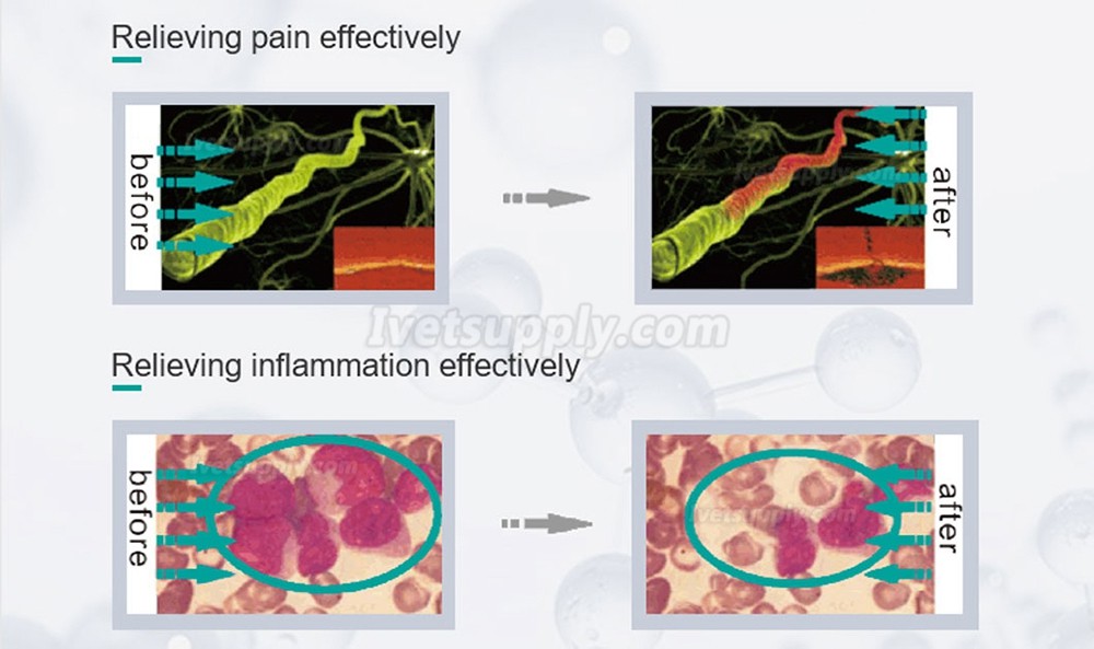 Veterinary Cold Laser HY30-D For Pain Relief Treatment