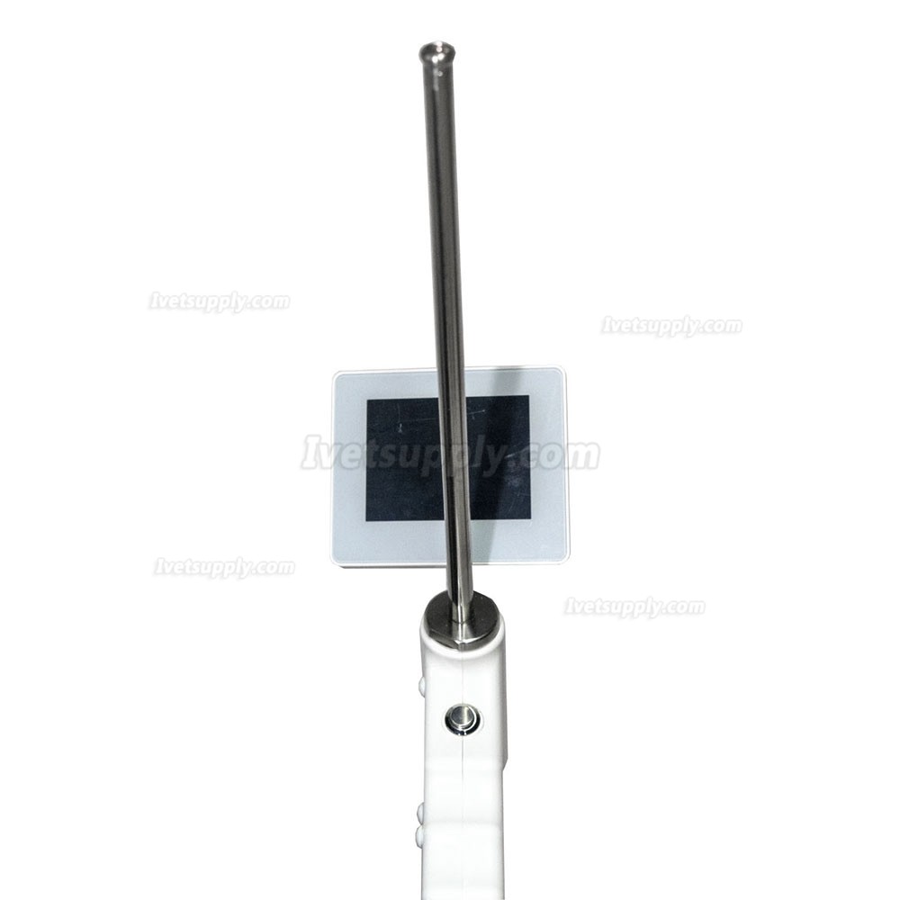 Vet Portable Handheld Digital Artificial Insemination Gun with Endoscope Vet Portable Handheld Digital Artificial Insemination Gun with Endoscope
