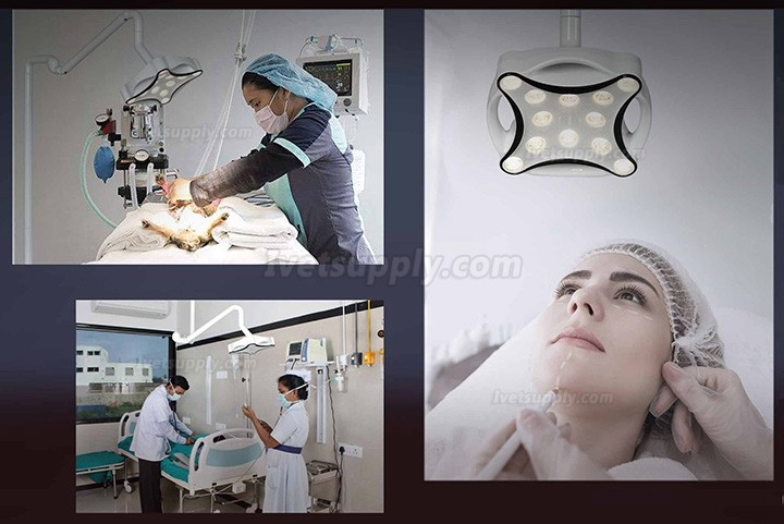 Micare JD1700L Veterinary LED Minor Surgical Lamp Shadowless Light Operation Lamp Micare JD1700L Veterinary LED Minor Surgical Lamp Shadowless Light Operation Lamp